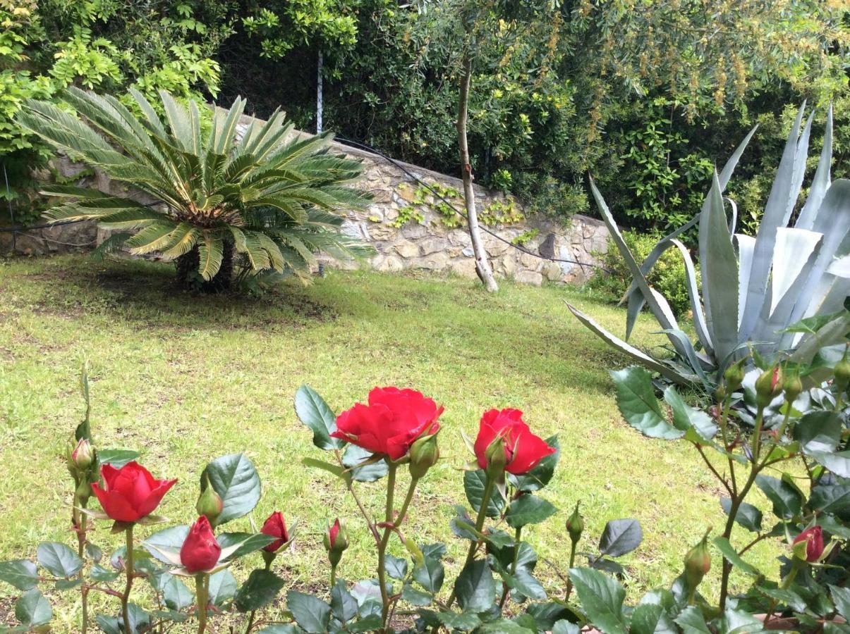 Villa Tra Mare E Bosco Nella Splendida Quercianella Extérieur photo